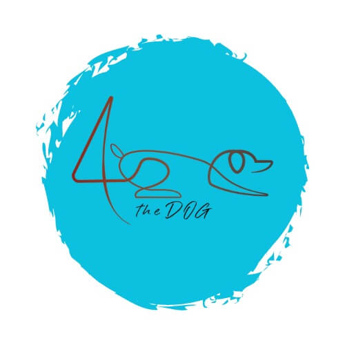 4TheDog Main - 4TheDog - פור דא דוג | חנות חיות | מספרת כלבים